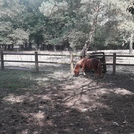 Mobil 3*** Piscine Chauffee *