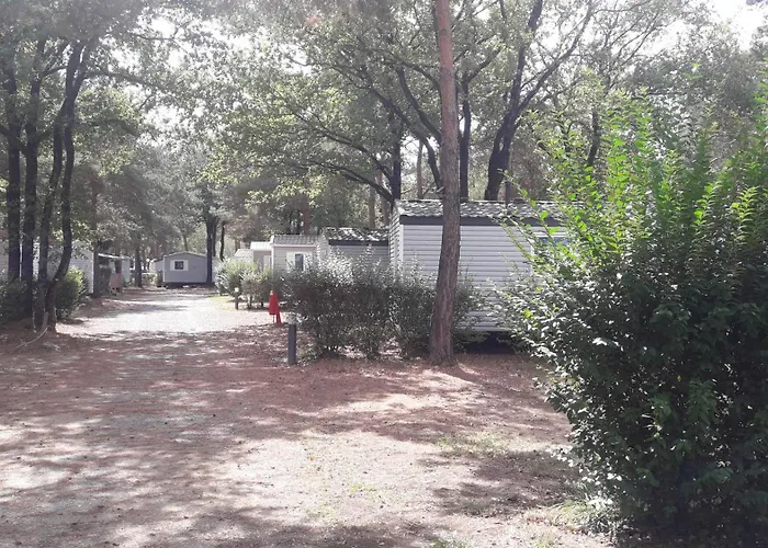 Mobil 3*** Piscine Chauffee キャンプ場 *