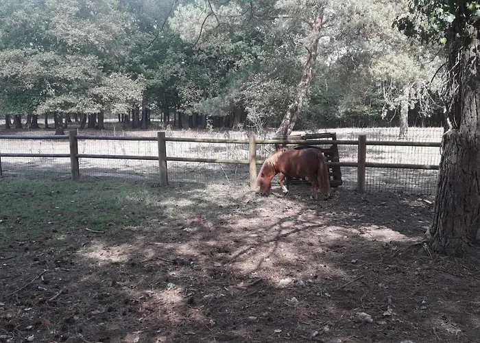 Mobil 3*** Piscine Chauffee *